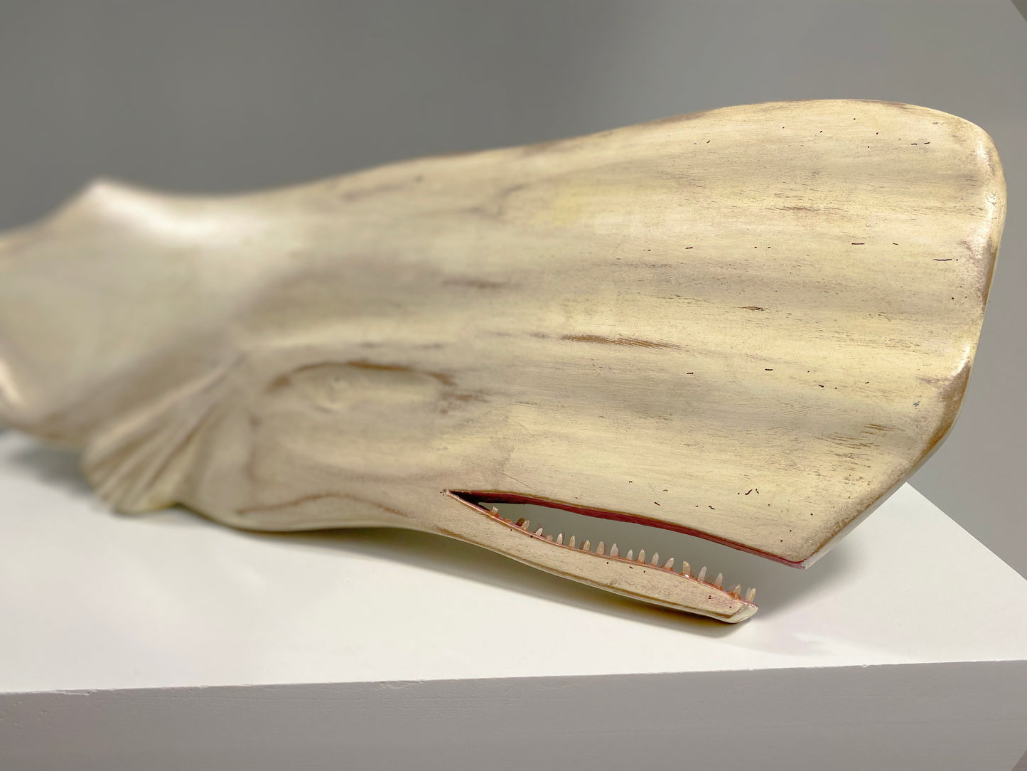 Ballenas