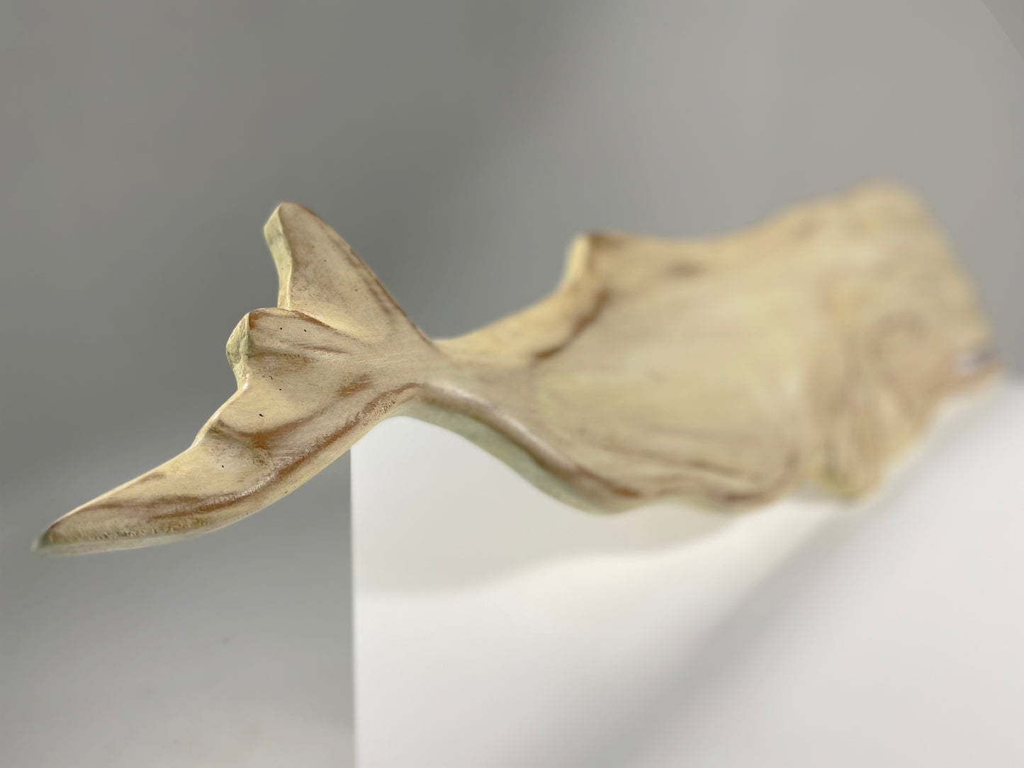 Ballenas